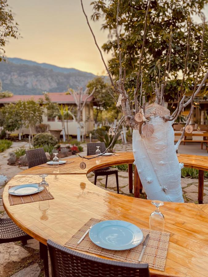 Oase Garden Hotel Çıralı المظهر الخارجي الصورة